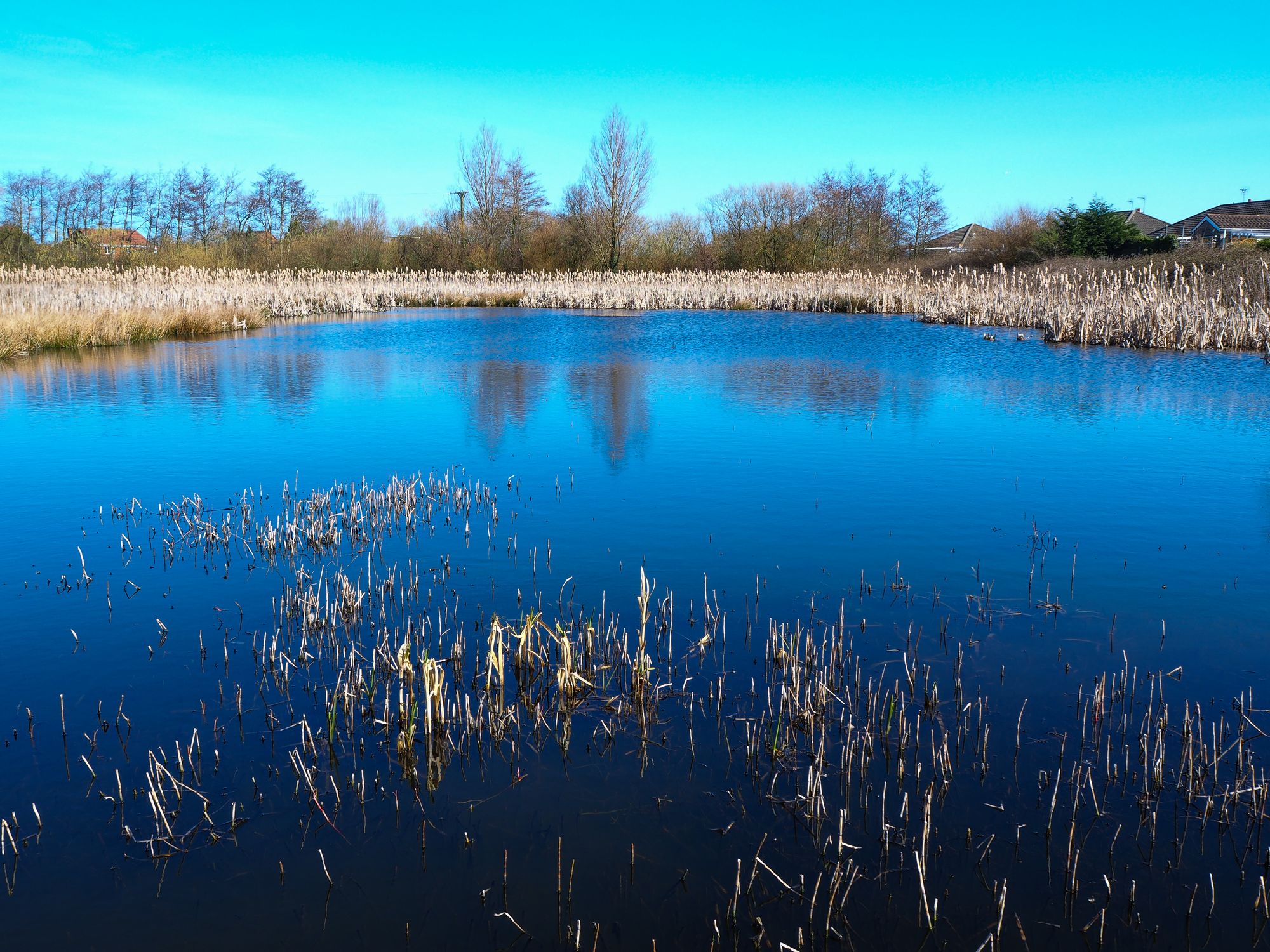 Large pond of water in Filey Dams