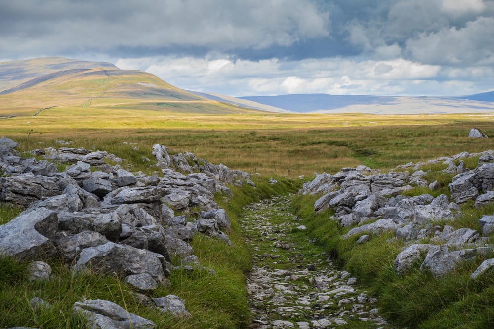 Whernside Walk