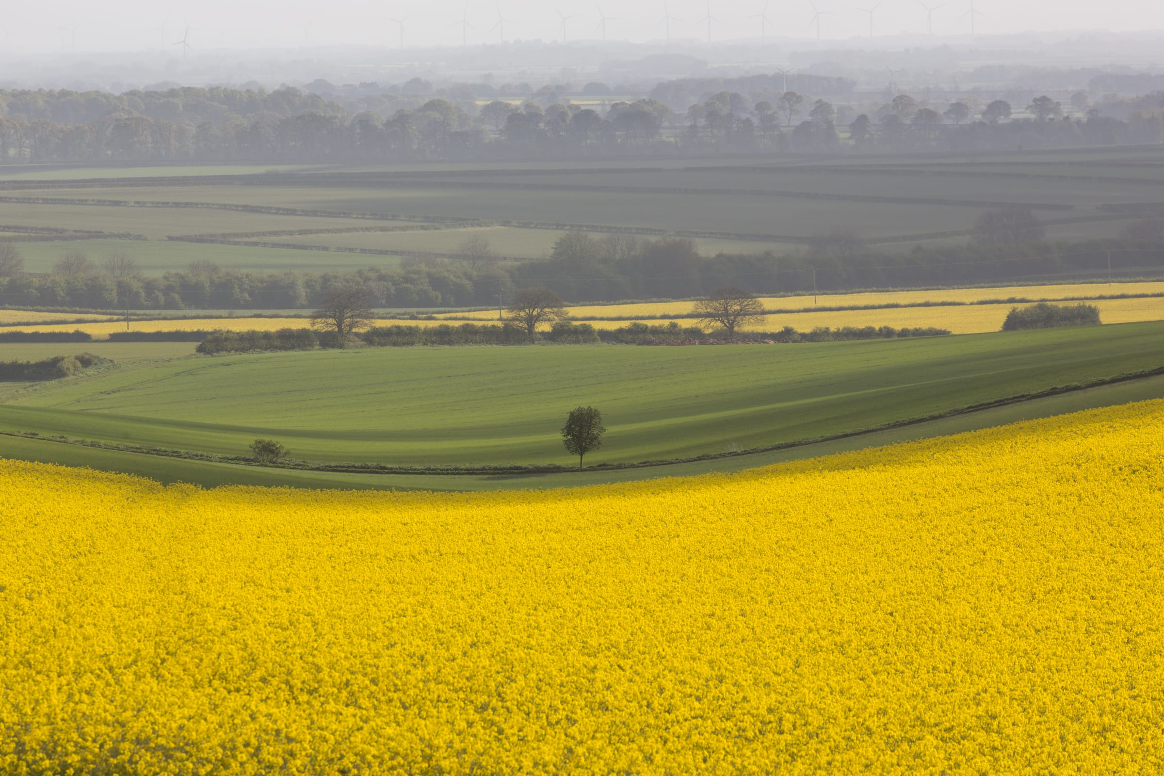 Market Weighton, Hudson Way, Goodmanham, Londesborough, and Towthorpe Walk